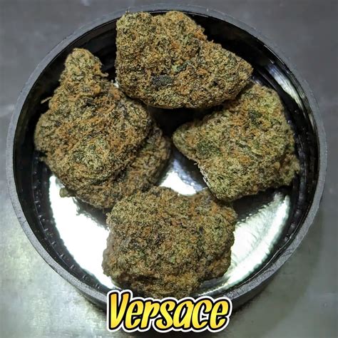 versace weed strain.